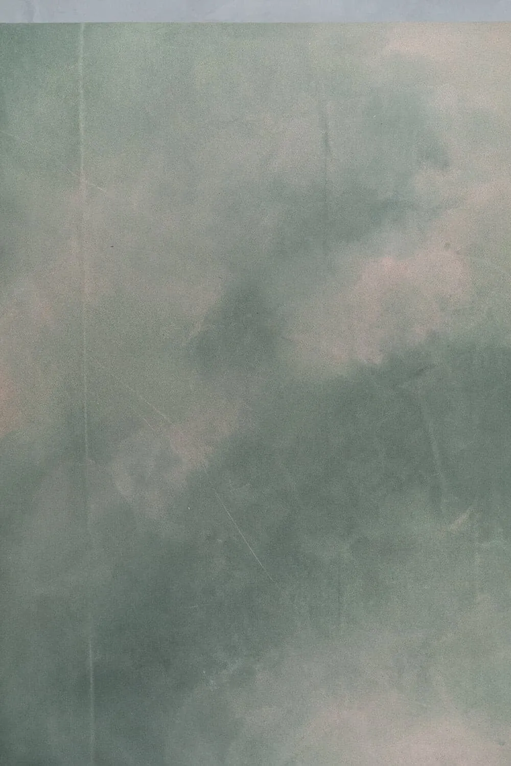 Evergreen & Coral #0039 // Extra-Small Hand-Painted Canvas Backdrop Painting