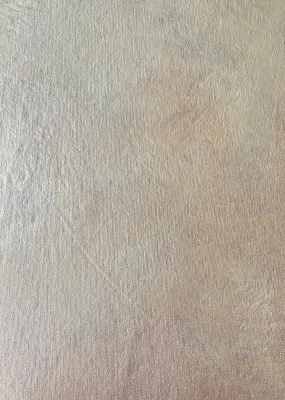 Silver Medal #0408 Hand Painted Flatlay Surface